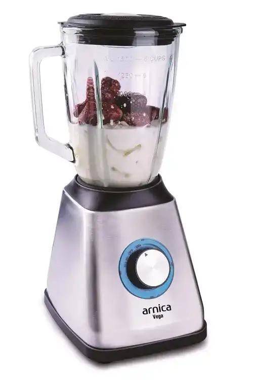 Arnica 170J Vega Blender Gümüş Arnica 170J Vega Blender Gümüş